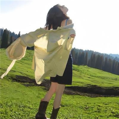 彩虹失窃事件